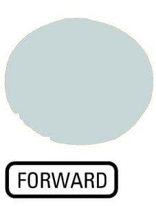Picture of ["M22-XDL-W-GB15, button lens, flat white, FORWARD"]